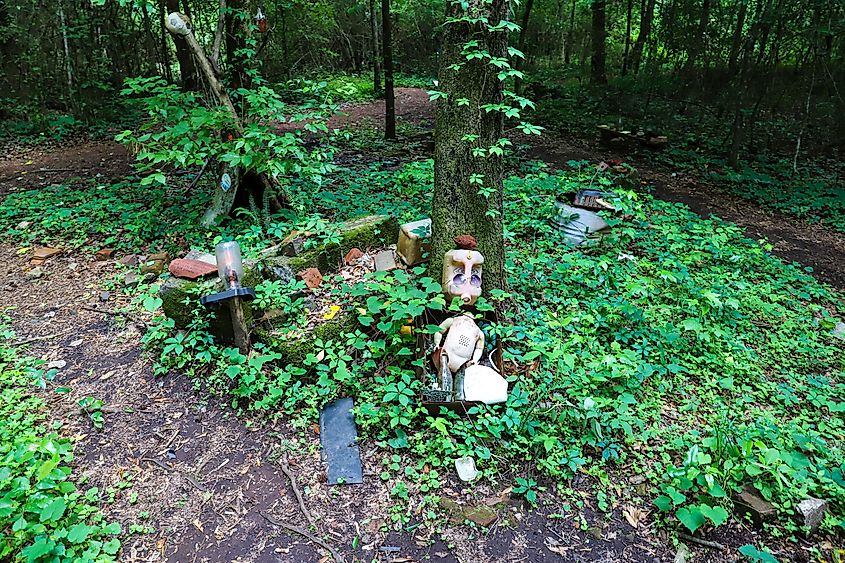 Doll's Head Trail at Constitution Lakes in Atlanta.