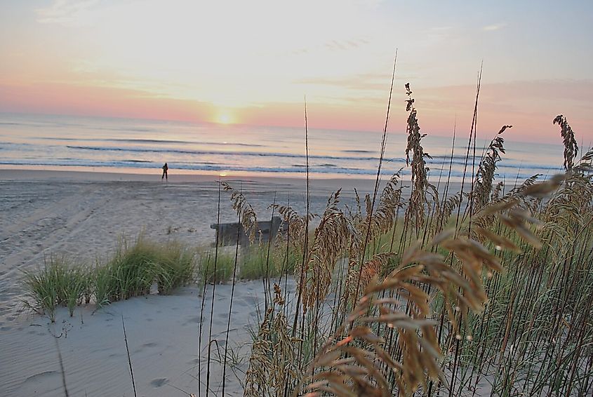 Sunrise at False Cape State Park, Virginia.