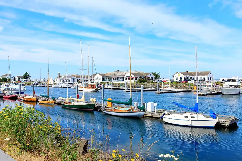 boats in the harbor in Port Townsend, Washington