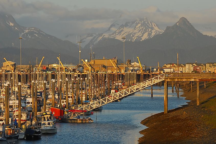 Homer in Alaska