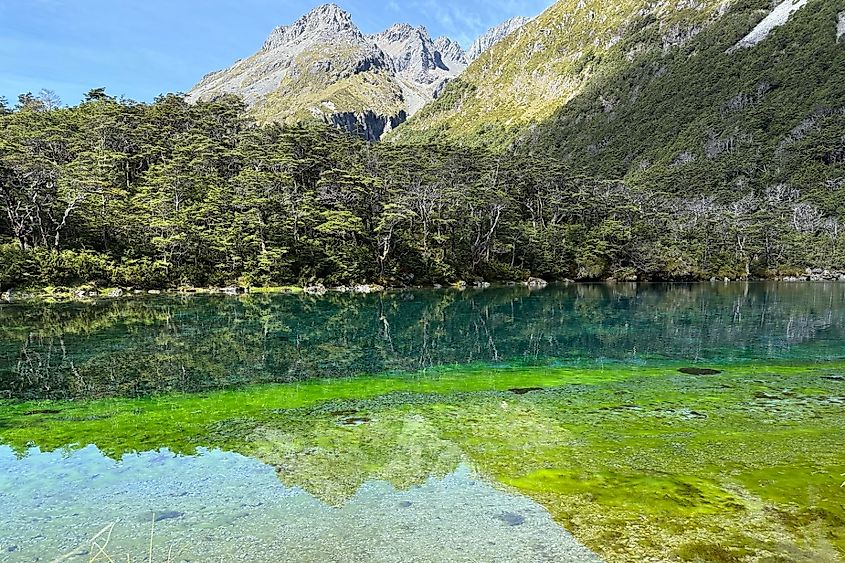Blue Lake, NZ
