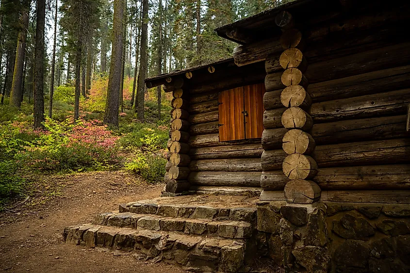 Cabin With Fall Color In The Merced Grove Of Giant Sequoias in Yosemite National Park