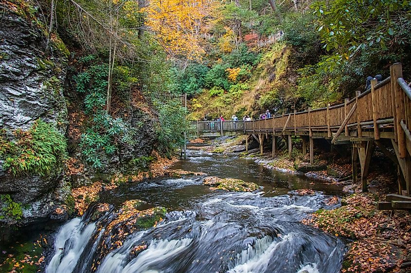 Visitors on the boardwalk at Bushkill Falls in Pennsylvania