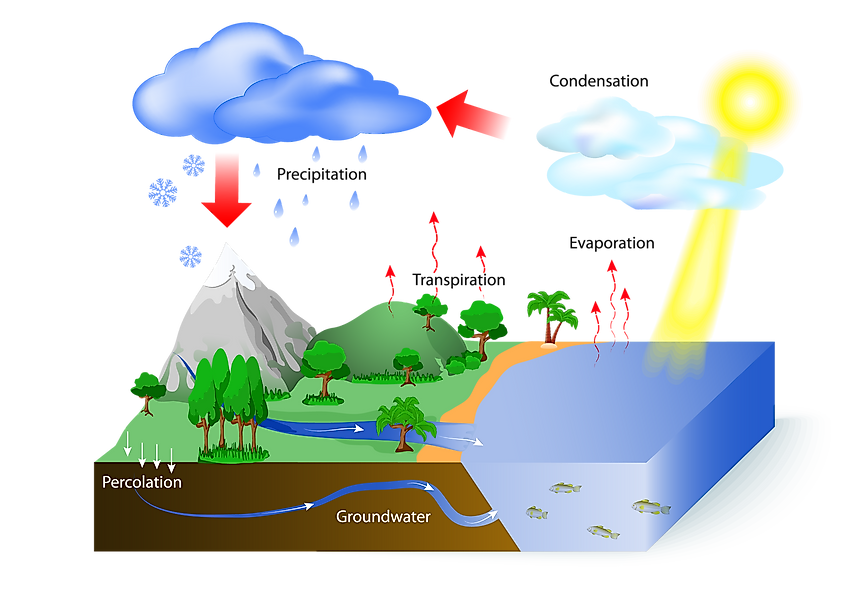 Water cycle