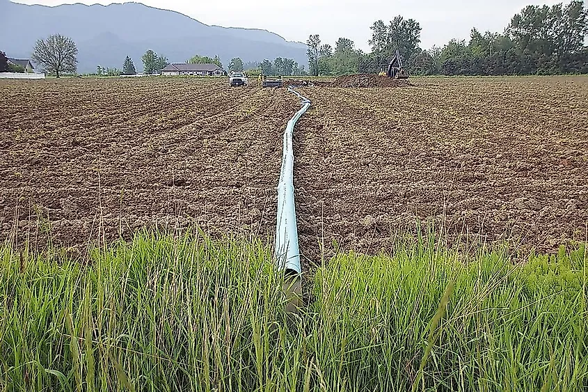 Draining wetland to use for agricultural purposes.