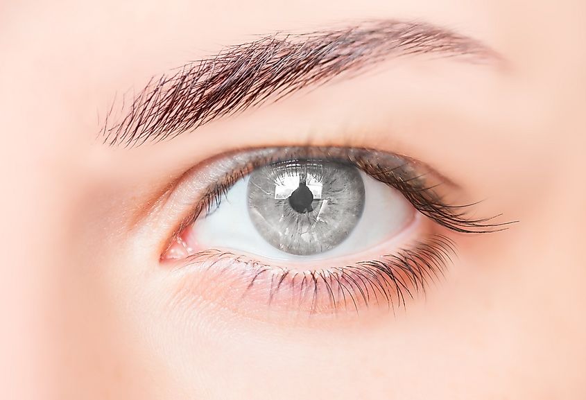 Less Than 1% of People Have Gray Eyes