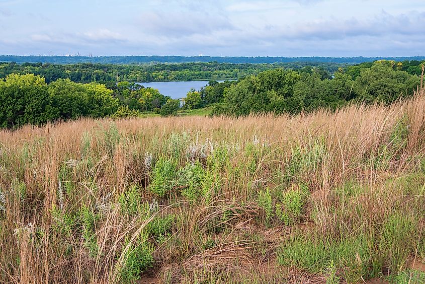 Grey Cloud Dunes and Mooers Lake Tributary of Mississippi River in Cottage Grove