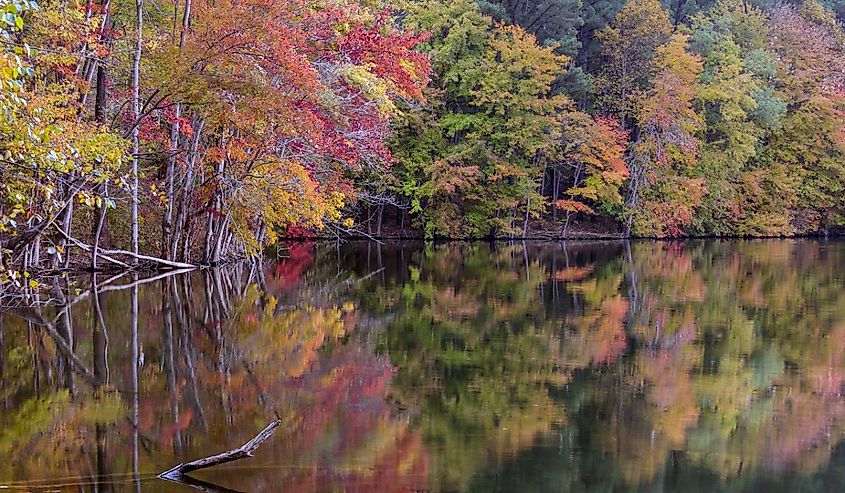 Colorful autumn forest with reflection in waters of Liberty reservoir, Maryland
