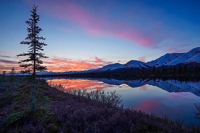 Near Cantwell, Alaska.