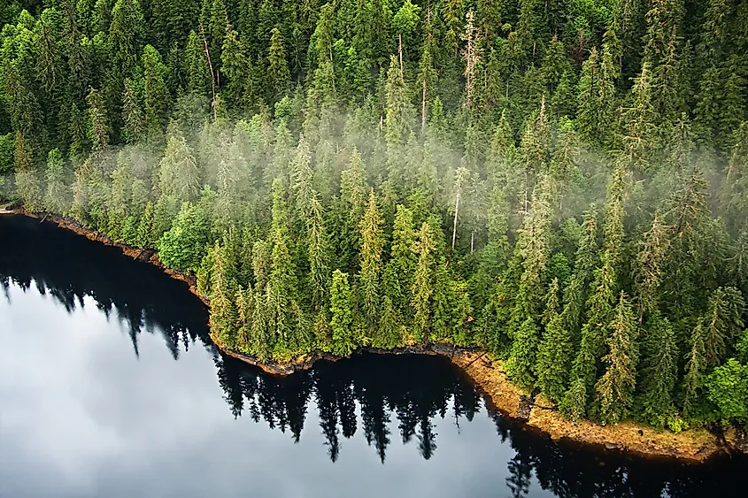 Aerial view of the mist hanging in the Tongass temperate rain forest, Misty Fjords National Monument, Alaska.