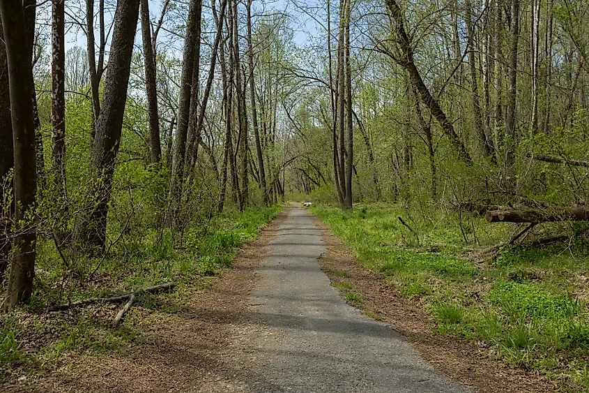 Alberton Road Trail Path, Patapsco Valley State Park.