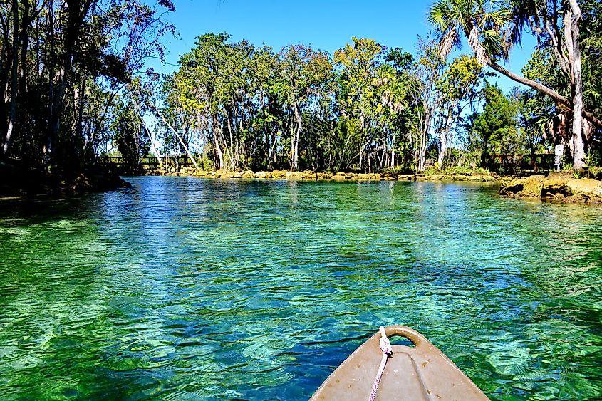 Three Sisters Springs, Crystal River, Florida