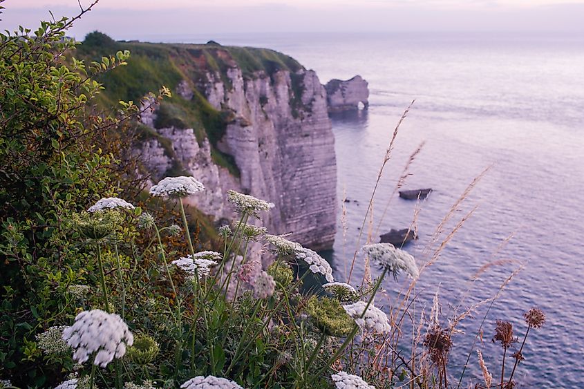 Sea Cliffs Of Étretat