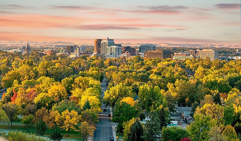 Fall colors in the city of trees Boise Idaho morning