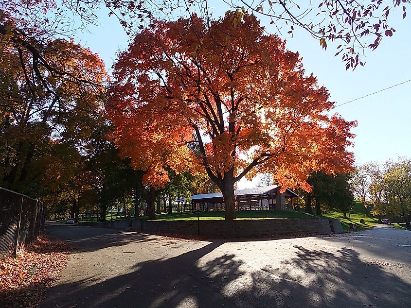 Shots from around Boonville, Missouri in the fall.