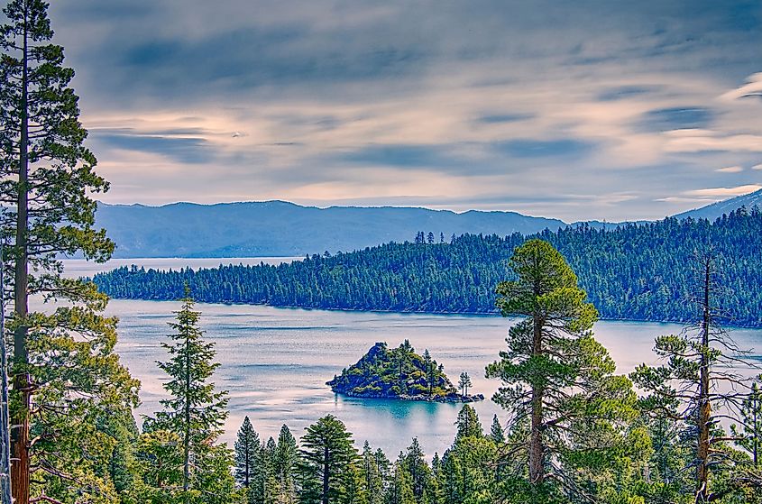 A view of Lake Tahoe lined with evergreens