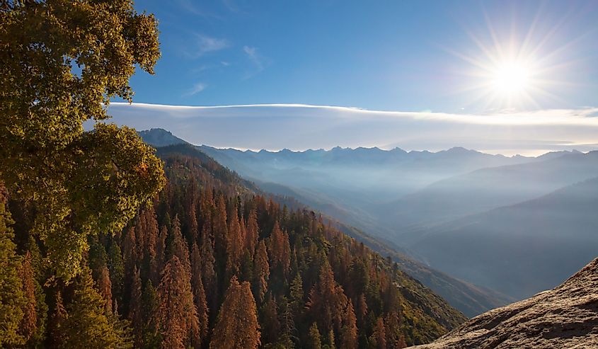Autumn sunrise over redwood trees at Moro Rock in Sequoia National Park, California