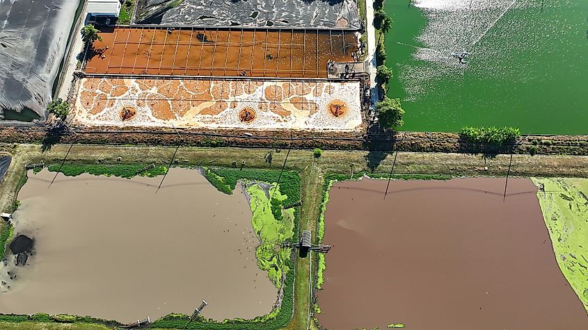 An industrial wastewater treatment pond is a vital facility for purifying contaminated water.