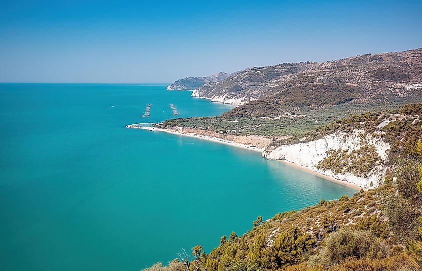 Gulf Of Manfredonia