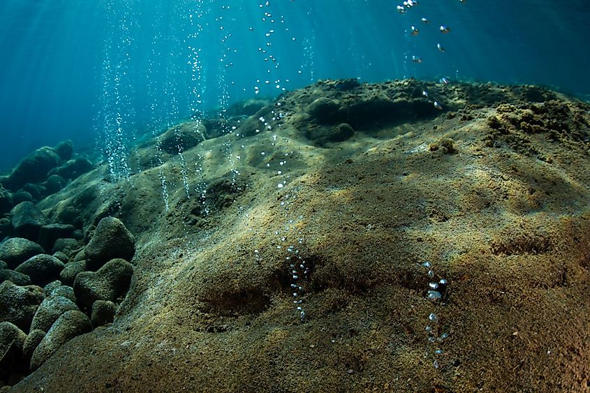 Volcanic gas bubbles in Flores Sea