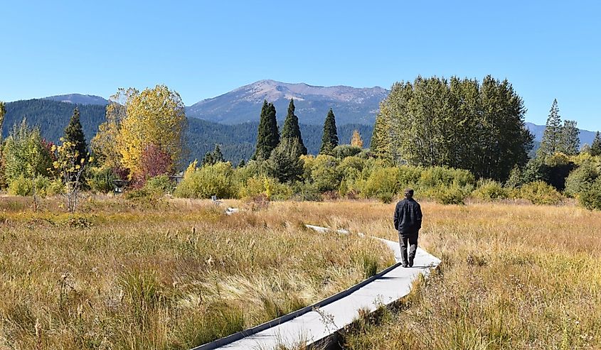 A person walks along a wooden path through a sunny meadow with autumn trees. Majestic mountains rise in the background under a clear blue sky.