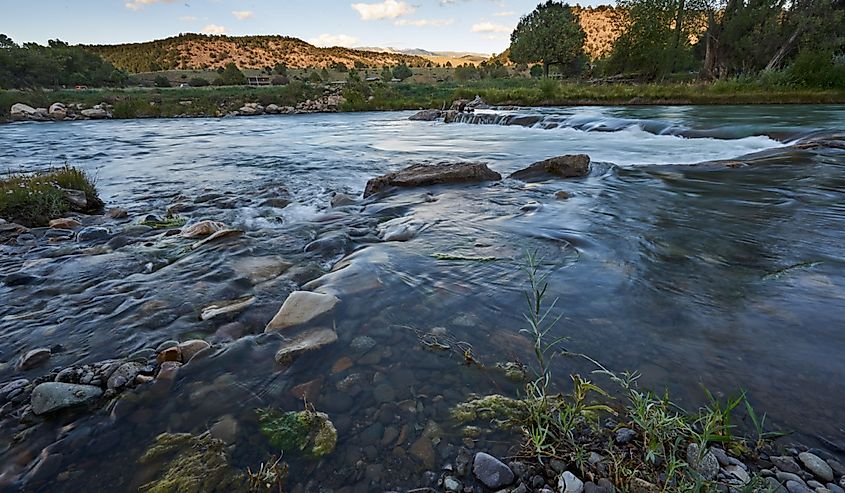 Uncompahgre River with mountains and trees