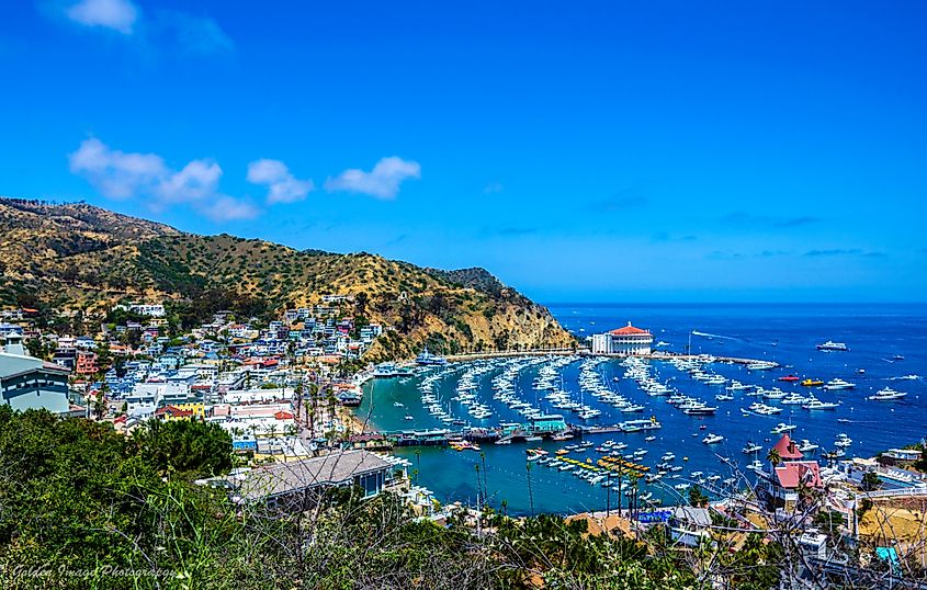 Aerial view of Avalon, California.