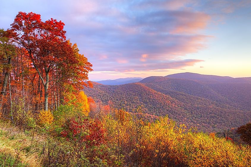 Shenandoah National Park, Virginia