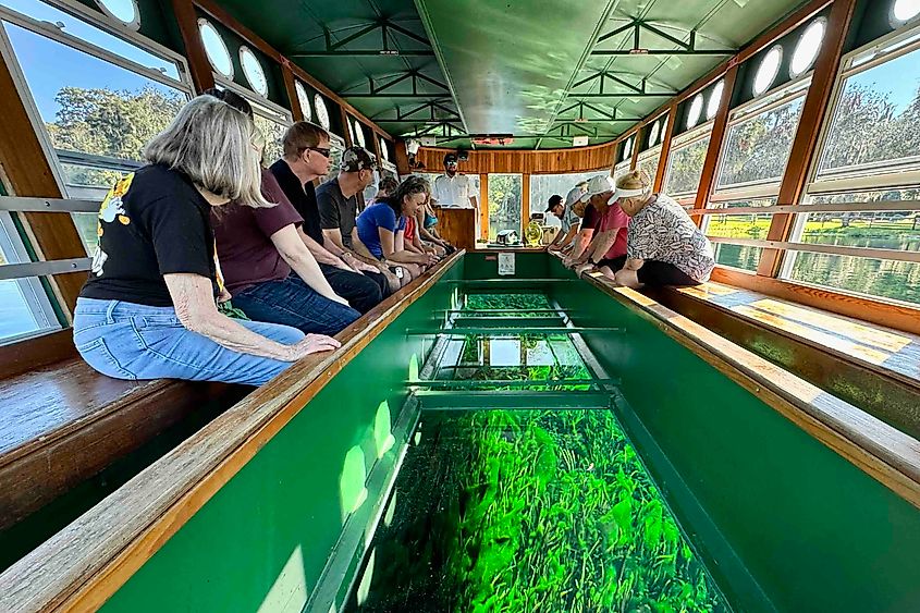 Silver Springs glass bottom boat tours Image credit Bryan Dearsley