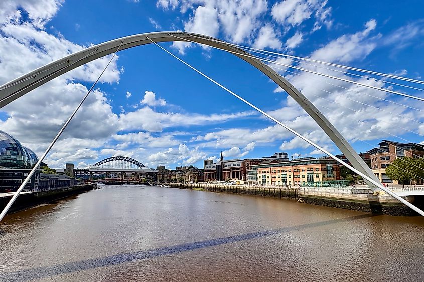 Newcastle's Quayside. Image credit: Bryan Dearsley