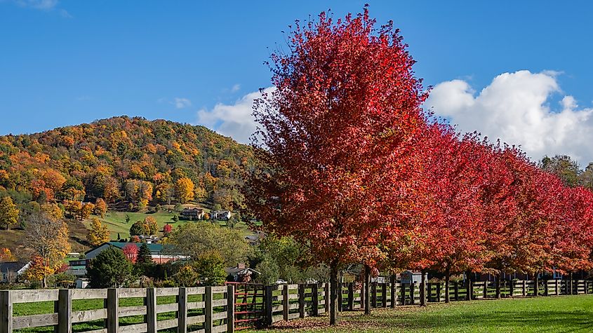 Fall colors in Banner Elk, North Carolina