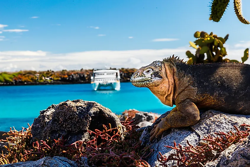 Galapagos Island