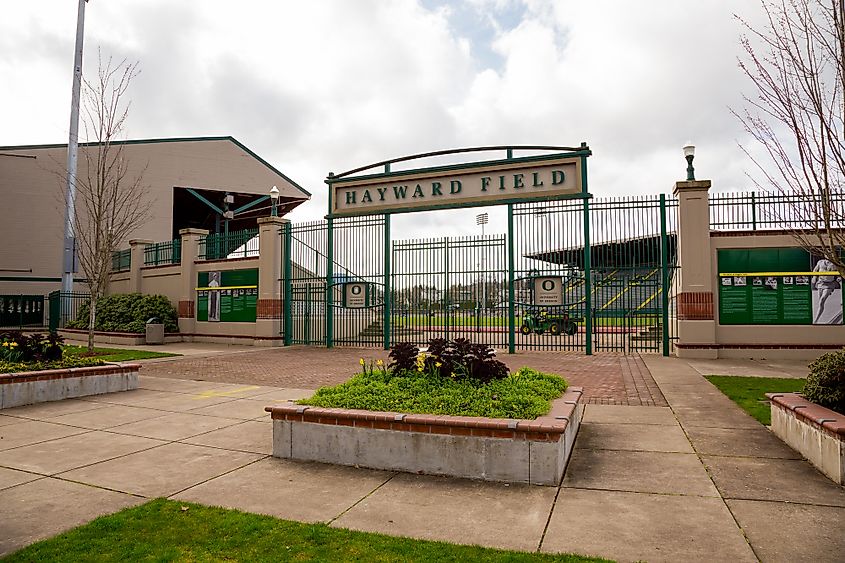 Hayward field