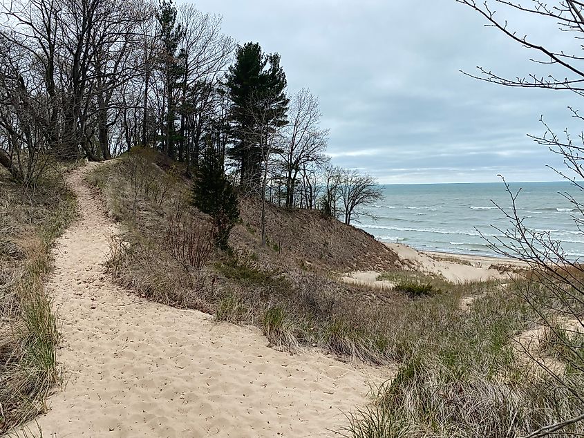 A sandy trail between fields of wild grasses skirts a wavy lakeshore on an overcast day.