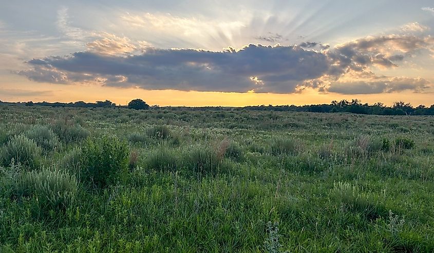 Native prairie landscape in Woodward, Oklahoma.