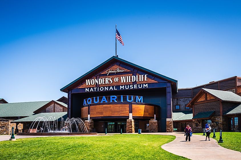 Wonders of Wildlife National Museum and Aquarium