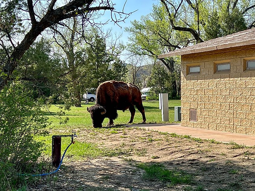 Dickinson, ND USA.