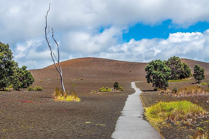 Devastation Trail in Hawaii Volcanoes National Park near Volcano Village.