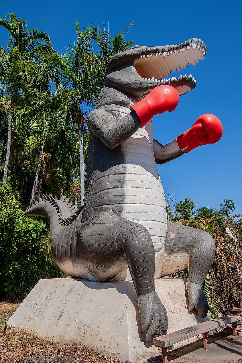 Big Boxing Crocodile in Humpty Doo, NT, Australia.