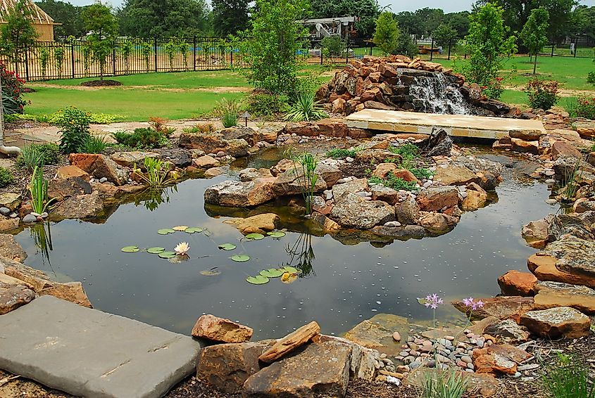 Pond in Trophy Club, Texas