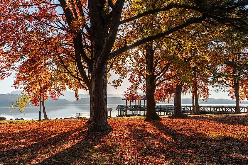  Lake Dardanelle State Park 