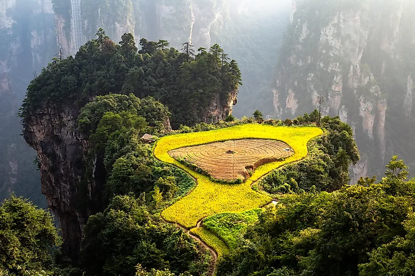 Wulingyuan National Park, Zhangjiajie, China.