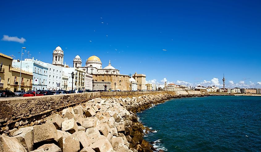 Beautiful view of The Cathedral Nueva in Cadiz, Andalusia, Spain