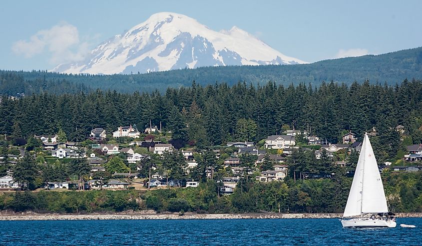 A photo of Mount Baker with a sailboat and houses in the Bellingham town area.