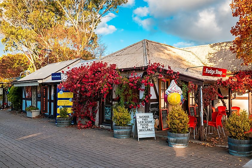 Local businesses in downtown Hahndorf, South Australia, Australia