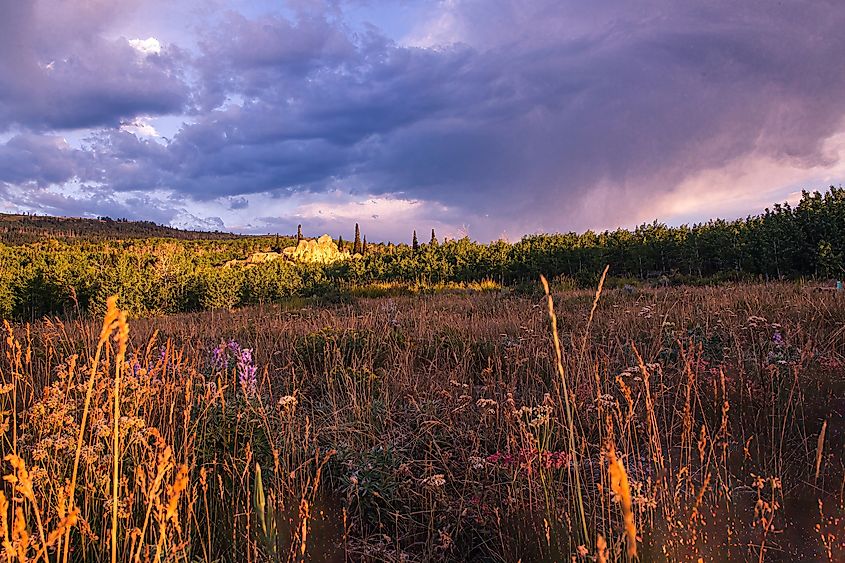 Wyoming sunrise in the Bridger-Teton National Forest.