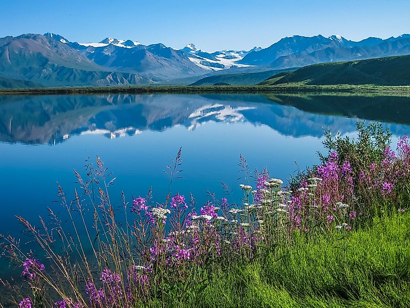  Tanana Valley State Forest, Alaska 