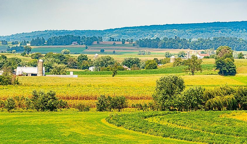 Amish country farm barn field agriculture in Lancaster, PA US