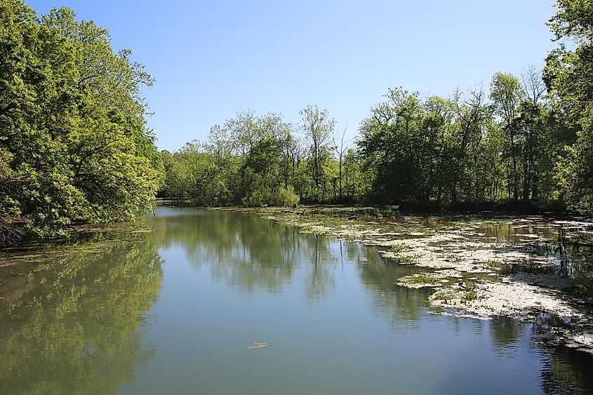 The James River flowing through Missouri