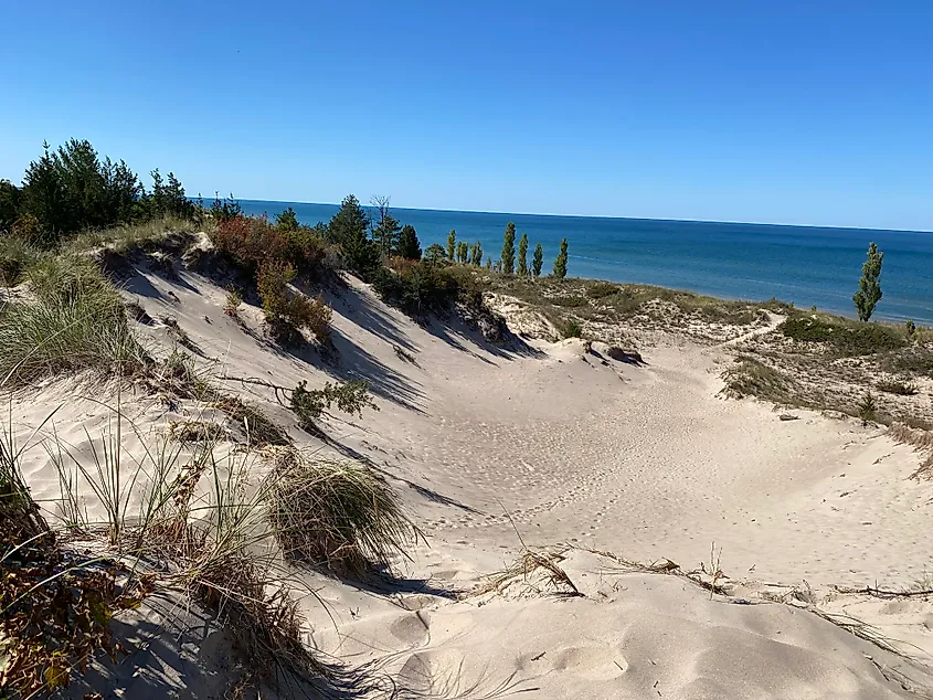 A large lakeside dune complex seen on a bluebird day.
